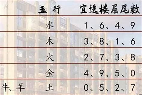 屬鼠房子座向|属鼠最佳住房楼层和风水方位